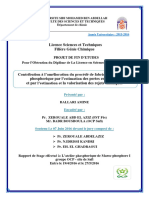 Contribution À L'amélioration Du Procédé de Fabrication de L'acide Phosphorique Par L'estimation Des Pertes en Matière Et Par L'