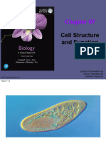 CH7 - Cell Structure Function