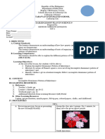 Ist Quarter - Incomplete Dominace Pattern of Inheritance