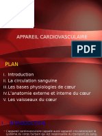 Appareil Cardiovasculaire Anatomie