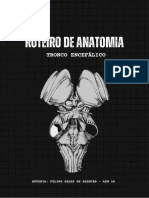 Roteiro de Anatomia - Tronco Encefálico