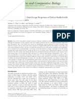 Hydrodynamics of C-Start Escape Responses of Fish As Studied With Simple Physical Models