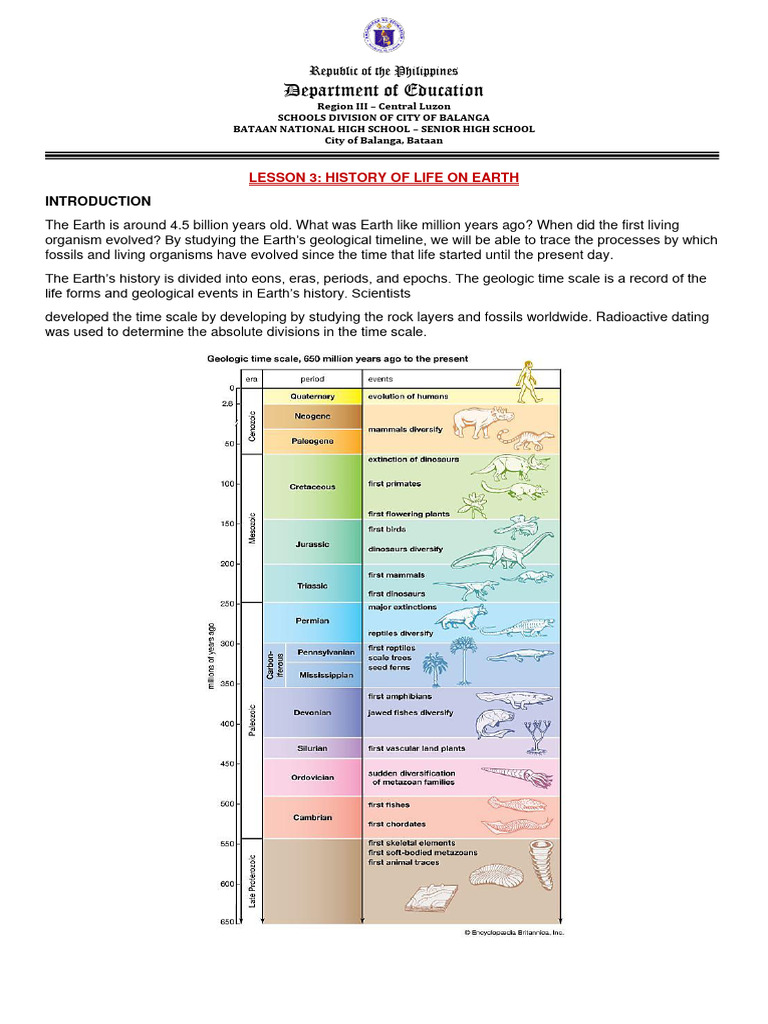 History of Life on Earth Lesson Plan | PDF | Geologic Time Scale | Nature