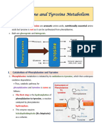 Phenylalanine and Tyrosine Metabolism Lecture 100