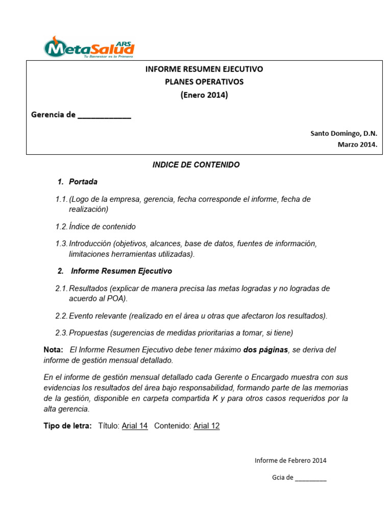 Modelo INFORME RESUMEN EJECUTIVO | PDF