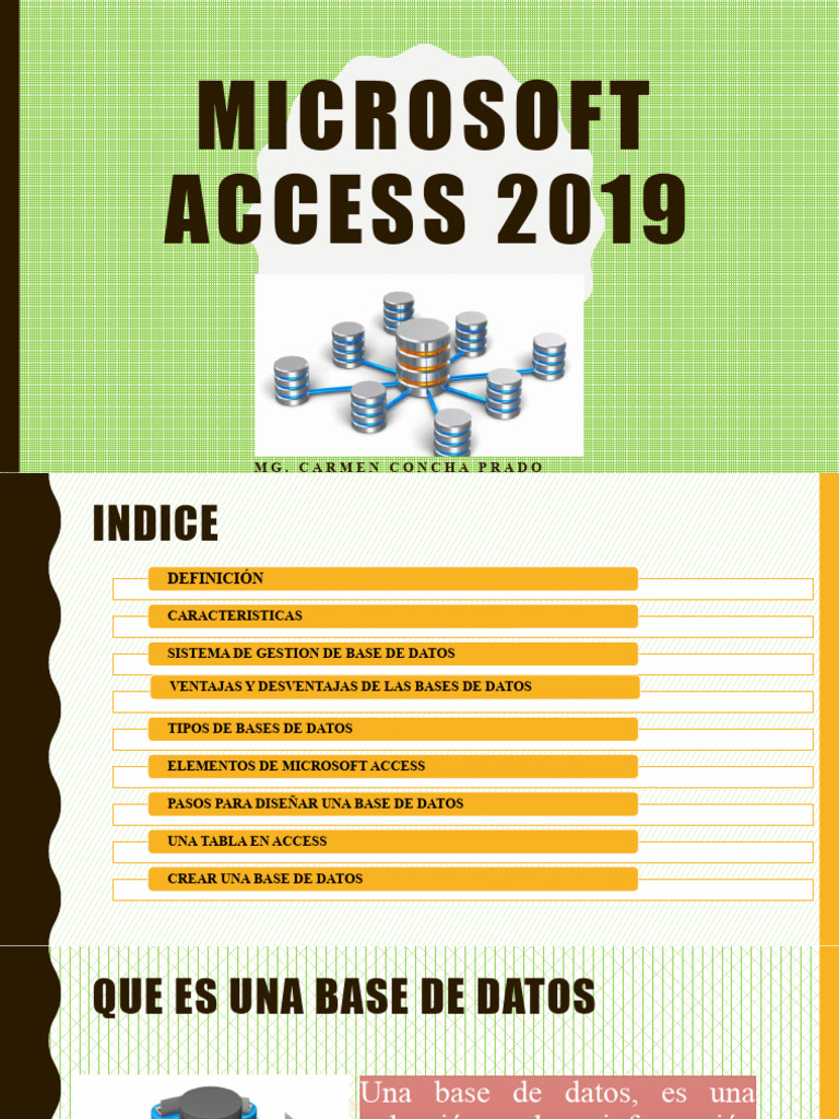 Microsoft Access 2019 | PDF