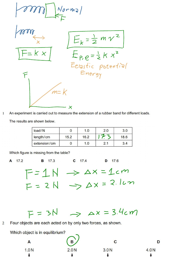 Hooke's Law PDF