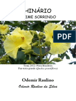 Odemir Raulino - Daime Sorrindo - Cifrado