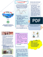 Leaflet DBD, Chikungunya Dan Flu Singapura