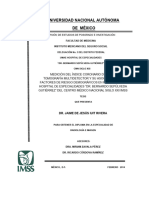 Universidad Nacional Autónoma de México: División de Estudios de Posgrado E Investigación