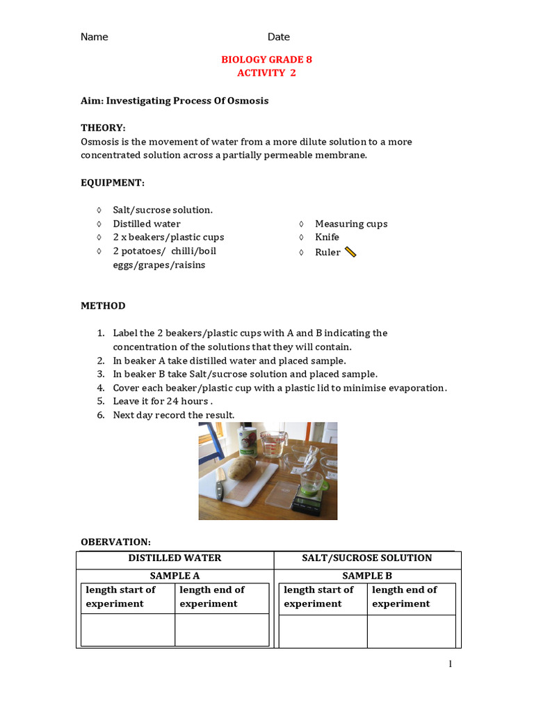 Activity 2 | PDF