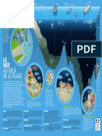Infographie - La Mer Au Dela de La Plage
