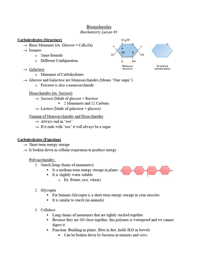 Biomolecules Notes PDF