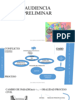 Audiencia Preliminar CPC