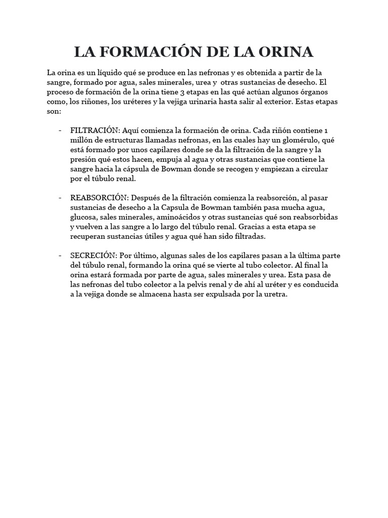 Formacion Orina Pdf