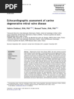 Normal Echocardiogram Values for Dogs | PDF
