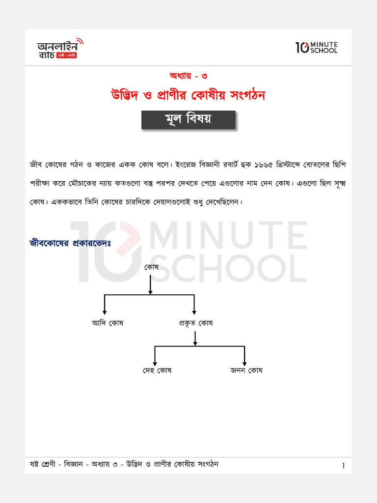 Class 6 - Science - Chapter - 3 | PDF