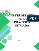 Instrumentos de Practica-V Ciclo