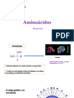 Aminoácidos