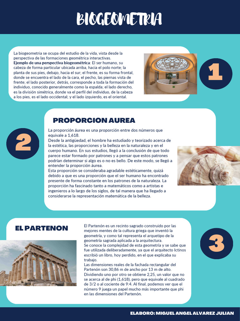 Biogeometría y Proporción Áurea | PDF | Belleza | Perspectiva (Gráfica)