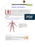 Sis Circulatorio y Excretor