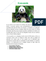 El Oso Panda GRUPO 3