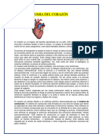 Anatomia Del Corazón