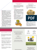 Funciones de Las Comisiones de SS