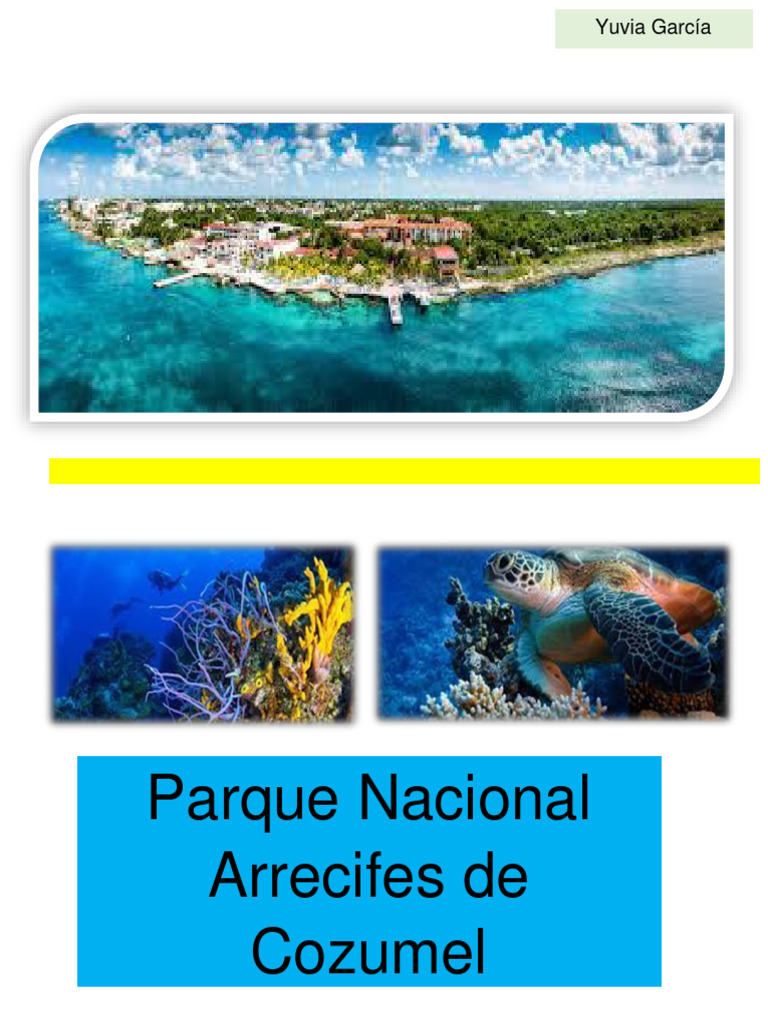 parque intelligence overview