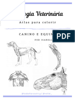 Atlas de Miologia Veterinaria Cao e Equino Isabella Rossini