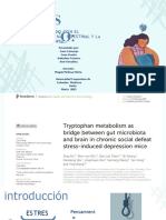 Presentación Diapositivas Prevención Del Estrés Azul Verde y Blanco