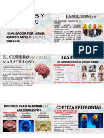 Original Pnl-Emociones y Cerebro 01 444