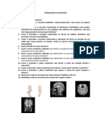 Ex. Anatomia