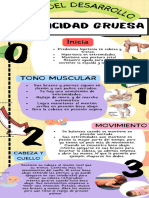 Fases Del Desarrollo 1-3 Meses