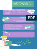 Stages of Development and Evolutionary Changes of The Breast