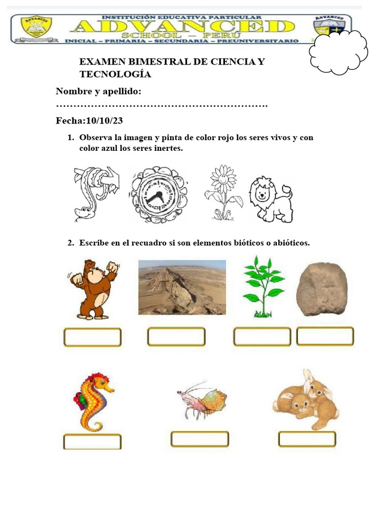 Examen Bimestral de Ciencia y Tecnología | PDF