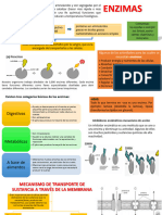 TSB1.BII - Procesoscelulares.2 122127