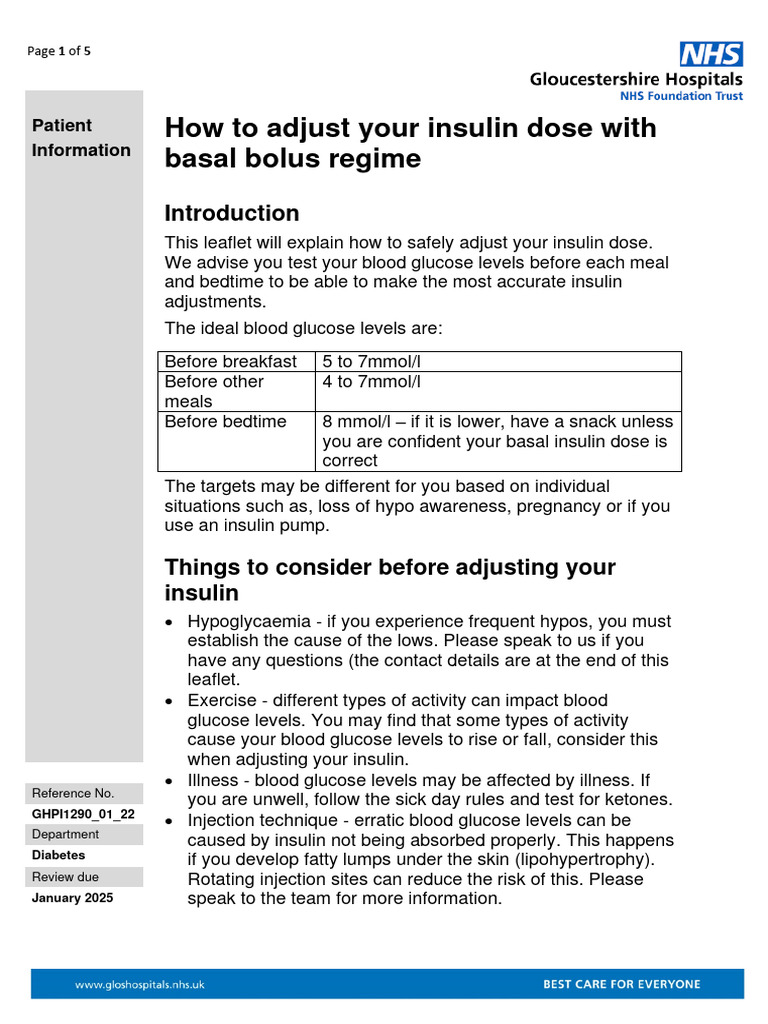How To Adjust Your Insulin Dose With Basal Bolus Regime GHPI1290!01!22 PDF