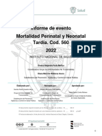 6-Mortalidad Perinatal y Neonatal Informe 2022