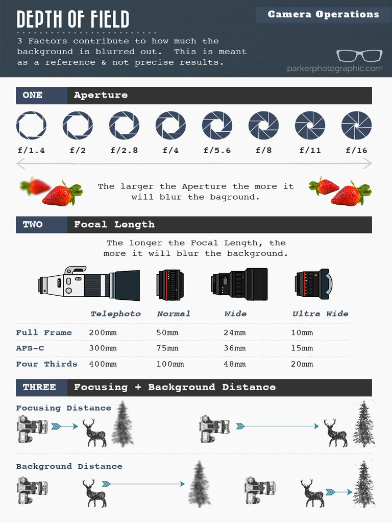 Mastering Depth of Field in Photography | PDF