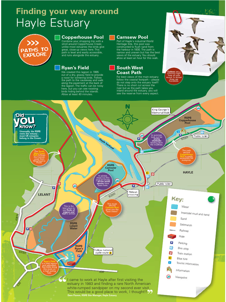 Explore Hayle Estuary's Scenic Paths | PDF | Hydrography | Ornithology
