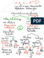 ATP - Errifi.offre.0607215920 Copie