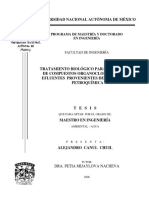 Universidad Nacional Autónoma de México: Programa de Maestría Y Doctorado en Ingeniería