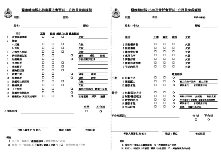 BFA Assessment Form - 2017 | PDF