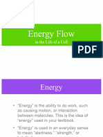 Ch6 Energy-Notes