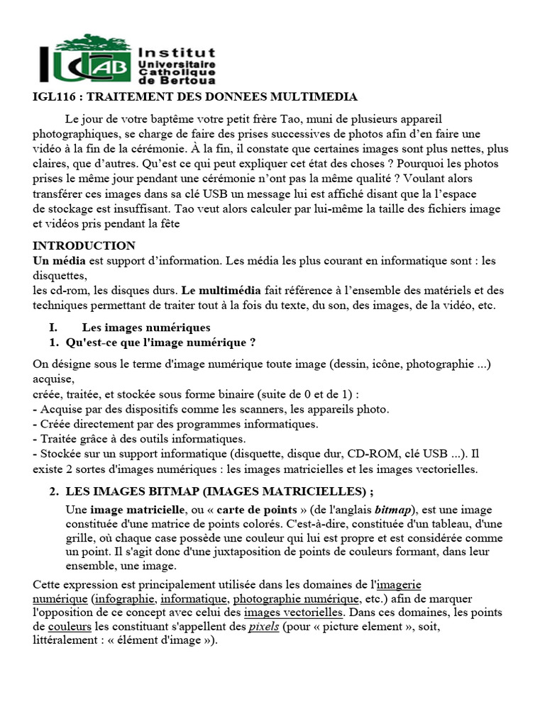 Traitement des données multimédia | PDF | Art