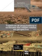 2022 - HOLANDA GONÇALVES FREITAS - Trajetórias de Pesquisadores e Os Estudos Das Cidades Médias em Perspectiva
