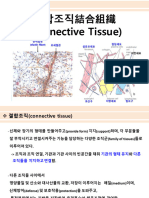 2023년+조직학+4주차 01