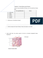 LKS Biologi Ekskresi