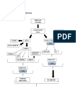 Diagrama de Flujo Chiles en Vinagre